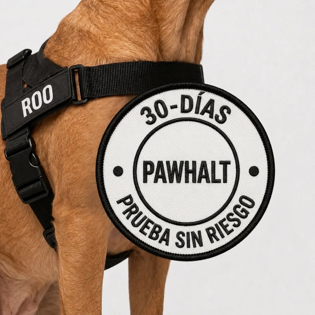 Arnés anti tirones para perros - Camina sin que te arrastre