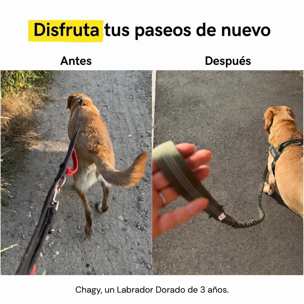 Arnés anti tirones para perros + Correa Elástica- Camina sin que te arrastre