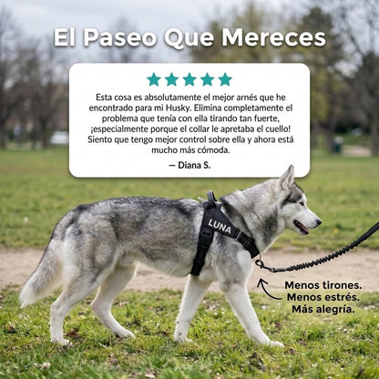 Arnés anti tirones para perros + Correa Elástica- Camina sin que te arrastre