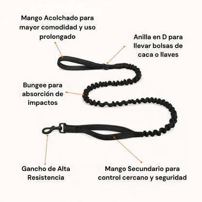 Arnés anti tirones para perros - Camina sin que te arrastre