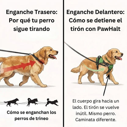 Arnés anti tirones para perros - Camina sin que te arrastre