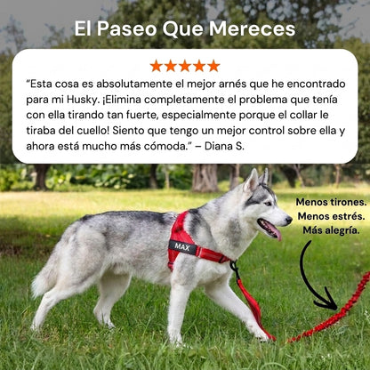 Arnés anti tirones para perros - Camina sin que te arrastre